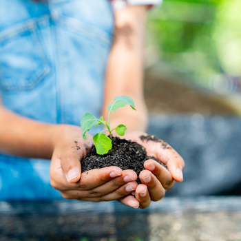 Агротехнологические классы в общеобразовательных организациях - fgospostavki.ru - Иркутск
