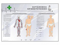 Электрифицированный стенд "Остановка кровотечения" - fgospostavki.ru - Иркутск