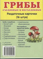 Раздаточные карточки "Грибы съедобные и не съедобные" - fgospostavki.ru - Иркутск