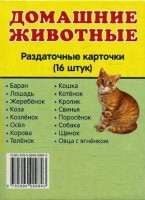 Раздаточные карточки "Домашние животные" - fgospostavki.ru - Иркутск