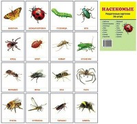 Раздаточные карточки "Насекомые" - fgospostavki.ru - Иркутск