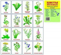 Раздаточные карточки "Цветы полевые" - fgospostavki.ru - Иркутск