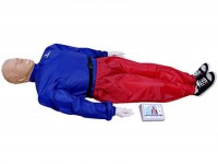 "Александр-04" тренажер-манекен взрослого пострадавшего для отработки приемов сердечно-легочной реанимации (голова, туловище, конечности) с контроллером - fgospostavki.ru - Иркутск