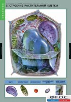 Комплект таблиц. Биология. Вещества растений. Клеточное строение. - fgospostavki.ru - Иркутск