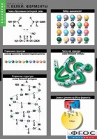 Комплект таблиц. Биология. Химия клетки. - fgospostavki.ru - Иркутск