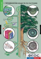 Комплект таблиц. Биология. Растение – живой организм. - fgospostavki.ru - Иркутск