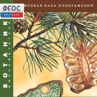Ботаника. Микрофотографии. (Цифровая база изображений) - fgospostavki.ru - Иркутск