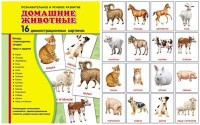 Демонстрационные карточки "Домашние животные" - fgospostavki.ru - Иркутск