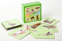 Набор магнитных карточек "Устный счет" (фон зеленый) - fgospostavki.ru - Иркутск