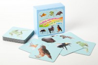 Набор магнитных карточек "Устный счет" (фон голубой) - fgospostavki.ru - Иркутск