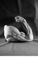 Рука согнутая в локте (гипс) - fgospostavki.ru - Иркутск