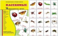 Демонстрационные карточки "Насекомые" - fgospostavki.ru - Иркутск