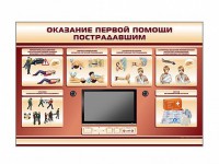 Многофункциональный интерактивный стенд-тренажер "Оказание первой помощи пострадавшим" для учащихся общеобразовательных учреждений - fgospostavki.ru - Иркутск