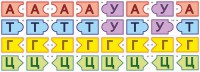 Модель-аппликация Удвоение ДНК и транскрипция РНК - fgospostavki.ru - Иркутск