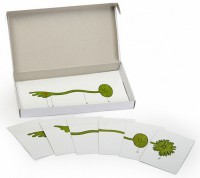 Модель-аппликация "Роль ядра в регуляции развития организма" (набор из 8 карт) - fgospostavki.ru - Иркутск