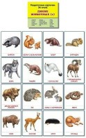 Раздаточные карточки "Дикие животные (1)" - fgospostavki.ru - Иркутск