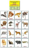 Раздаточные карточки "Дикие животные (2)" - fgospostavki.ru - Иркутск