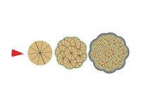 Магнитная математика Наталии Пятибратовой (Числовые фигуры) - fgospostavki.ru - Иркутск