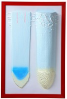 Барельефная модель "Клеточное строение корня" - fgospostavki.ru - Иркутск