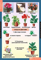 Комплект таблиц. Окружающий мир 1 класс. - fgospostavki.ru - Иркутск