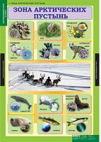 Комплект таблиц. Окружающий мир 4 класс. - fgospostavki.ru - Иркутск