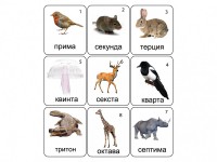 Набор магнитных карточек по музыке "Животные" (9 штук) - fgospostavki.ru - Иркутск