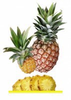 Комплект карточек "Запоминай, играй, считай" - Фрукты - fgospostavki.ru - Иркутск