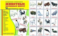 Демонстрационные карточки "Животные холодных широт" - fgospostavki.ru - Иркутск