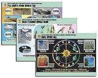 Комплект таблиц "Окружающий мир. Изменения в живой и неживой природе" (10 таблиц, А1, ламинированные) - fgospostavki.ru - Иркутск