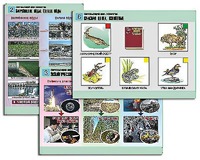 Комплект таблиц "Окружающий мир. Экология" (6 таблиц, А1, ламинированные) - fgospostavki.ru - Иркутск