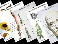 Таблицы по природоведению 1-3 класс (46 штук, формат А2) - fgospostavki.ru - Иркутск