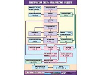 Таблица демонстрационная "Генетическая связь органических веществ" (винил 100x140) - fgospostavki.ru - Иркутск
