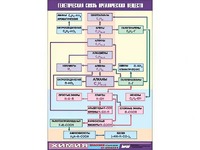 Таблица демонстрационная "Генетическая связь органических веществ" (винил 70x100) - fgospostavki.ru - Иркутск