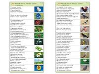 Комплект карточек (10) "Обучающий калейдоскоп. Природа" - fgospostavki.ru - Иркутск