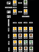 Модель-аппликация "Дигибридное скрещивание" (ламинированная) - fgospostavki.ru - Иркутск
