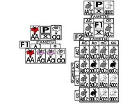 Модель-аппликация "Неполное доминирование и взаимодействие генов" (ламинированная) - fgospostavki.ru - Иркутск