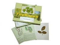 Гербарий "Дикорастущие растения" (30 видов, с иллюстрациями) - fgospostavki.ru - Иркутск