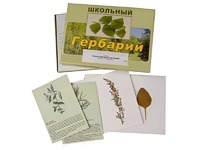Гербарий "Лекарственные растения" (22 вида с иллюстрациями) - fgospostavki.ru - Иркутск