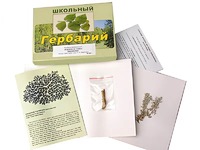 Гербарий "Водоросли. Грибы. Лишайники" (раздаточный) - fgospostavki.ru - Иркутск