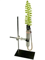 Прибор для демонстрации всасывания воды корнями - fgospostavki.ru - Иркутск