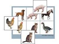 Логопедическое лото "Домашние животные" (4 планшета, 24 карточки, цветное, ламинированное) - fgospostavki.ru - Иркутск