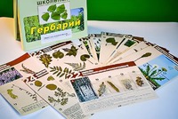 Гербарий к курсу основ общей биологии - fgospostavki.ru - Иркутск