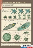Комплект таблиц. Биология 7 класс. Животные. - fgospostavki.ru - Иркутск