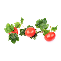 Ветка муляжей "Помидоры" - fgospostavki.ru - Иркутск