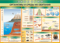 Таблица "Организмы и среды их обитания" (100х140 сантиметров, винил) - fgospostavki.ru - Иркутск