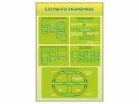 Стенды "Схемы по экономике" - fgospostavki.ru - Иркутск