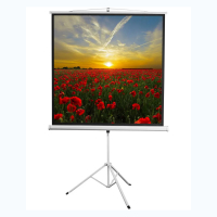 Экран на штативе DSKD-1105  - fgospostavki.ru - Иркутск