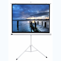 Экран на штативе DSKD-4302 - fgospostavki.ru - Иркутск