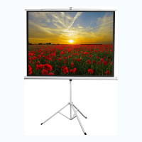 Экран на штативе DSKD-4303 - fgospostavki.ru - Иркутск