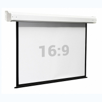 Экран настенный с электроприводом Electra DSEM-164008m - fgospostavki.ru - Иркутск